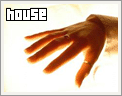 house. my best favorite choice...